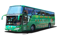 大巴士43人座車型